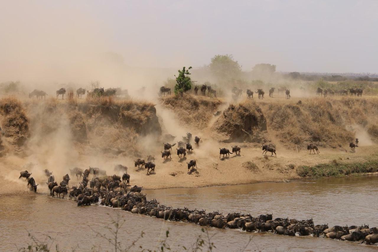 סרנגטי Gnu Mara River Camp מראה חיצוני תמונה
