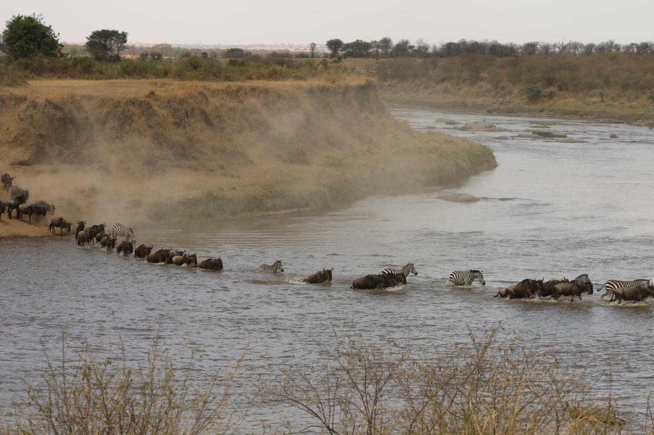 סרנגטי Gnu Mara River Camp מראה חיצוני תמונה